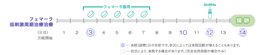 フェマーラ低刺激周期治療スケジュール図