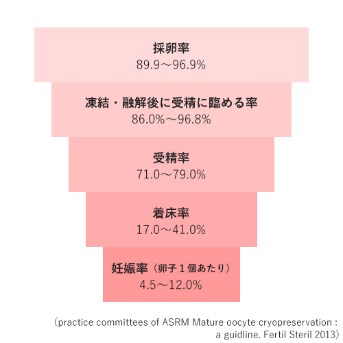 採卵から赤ちゃんが生まれるまでの推移図