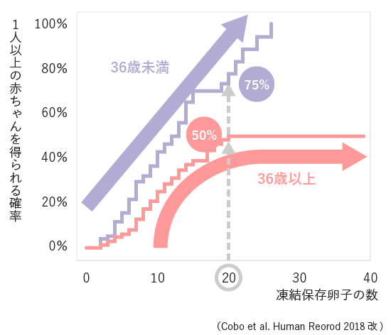 1人以上の赤ちゃんが得られる確率を年齢層別に示したグラフ